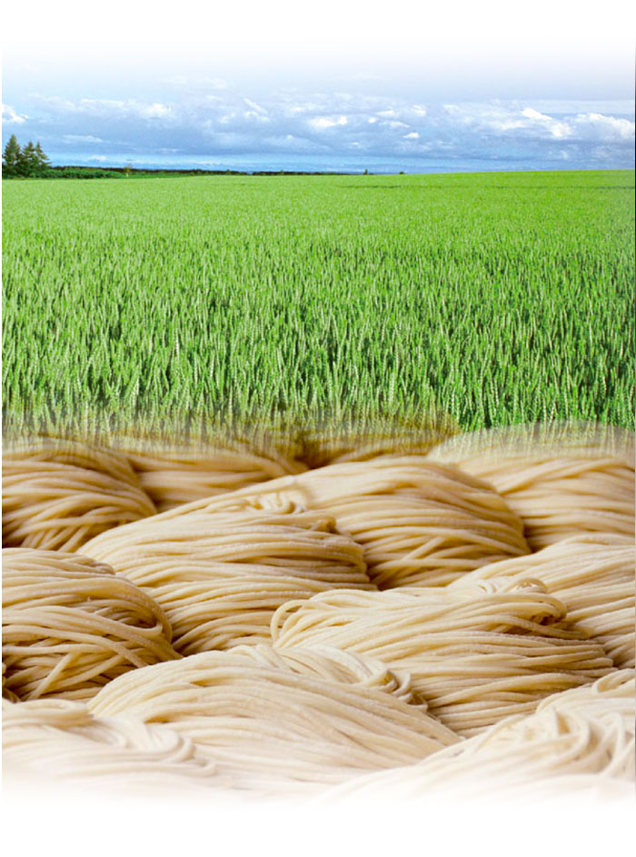 Menya Ultra Organic Wheat